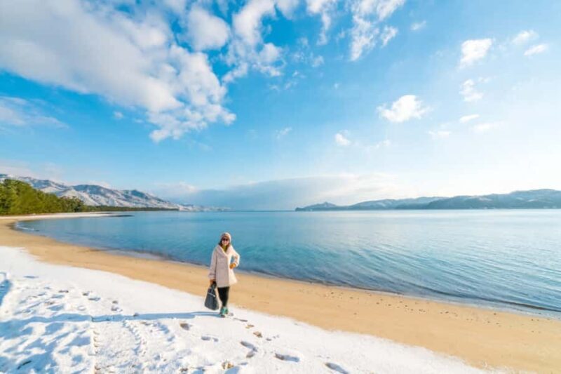 Amanohashidate & Ine Bay Tour With English Speaking Driver - Who Should Consider This Tour?
