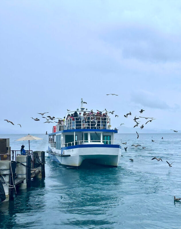 Amanohashidate & Ine Boat Cruise Day Trip (Departing from Osaka) - Who should book this Osaka day trip?