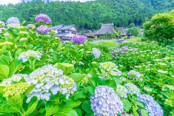 Amanohashidate Ine Funaya and Miyama Thatched Village Tour - Good To Know