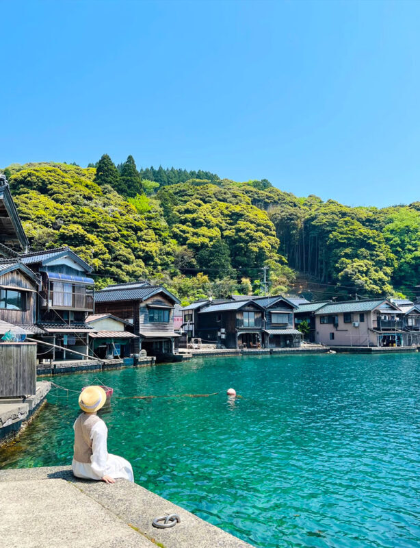 Amanohashidate & Ine no Funaya & Miyama One-Day Tour (Cable car + Ine boat ticket optional, departs from Osaka) - Practical details that matter