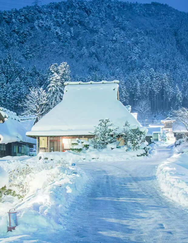 Amanohashidate & Ine no Funaya & Miyama One-Day Tour (Cable car + Ine boat ticket optional, departs from Osaka) - Who will get the most from this trip?