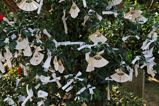 Amanohashidate & Ine Private Tour from Kyoto with English Driver - A Detailed Look at the Itinerary