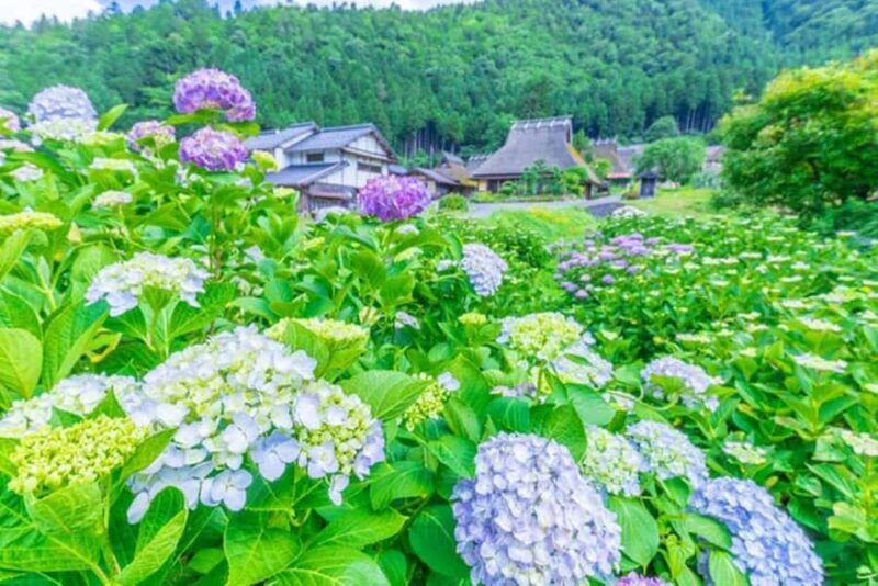 Amanohashidate: Ine Village Photo Safari with Boat Ride - Exploring the Amanohashidate: Ine Village Photo Safari with Boat Ride