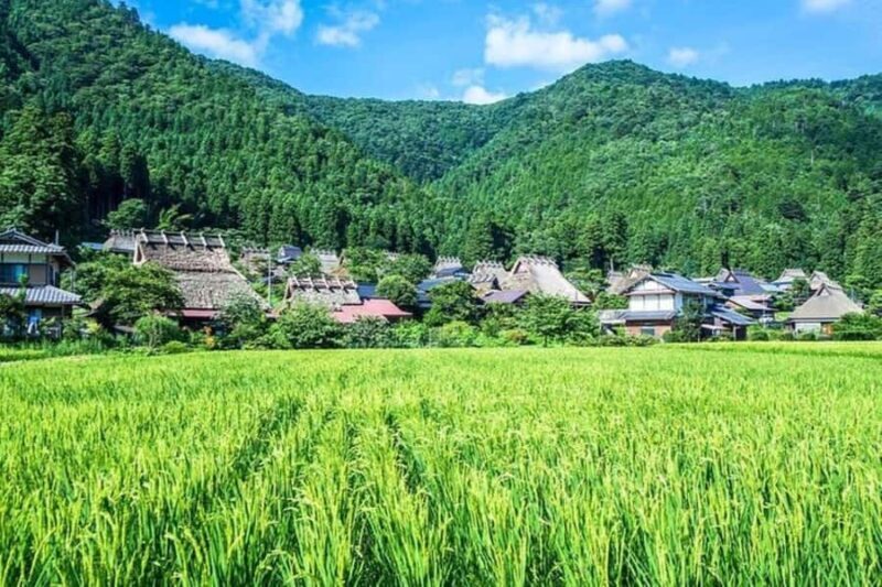 Amanohashidate: Ine Village Photo Safari with Boat Ride - What This Tour Offers and Why It’s Special