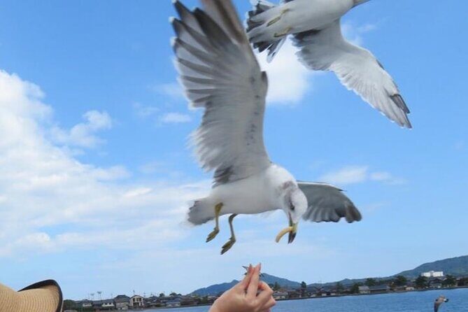 Amanohashidate & Miyama 1-Day Bus Tour: From Osaka/Kyoto w/ Lunch - Overview of the Tour Experience