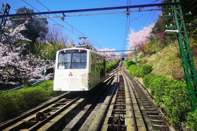 Amanohashidate & Miyama 1-Day Bus Tour: From Osaka/Kyoto w/ Lunch - Transportation and Group Dynamics