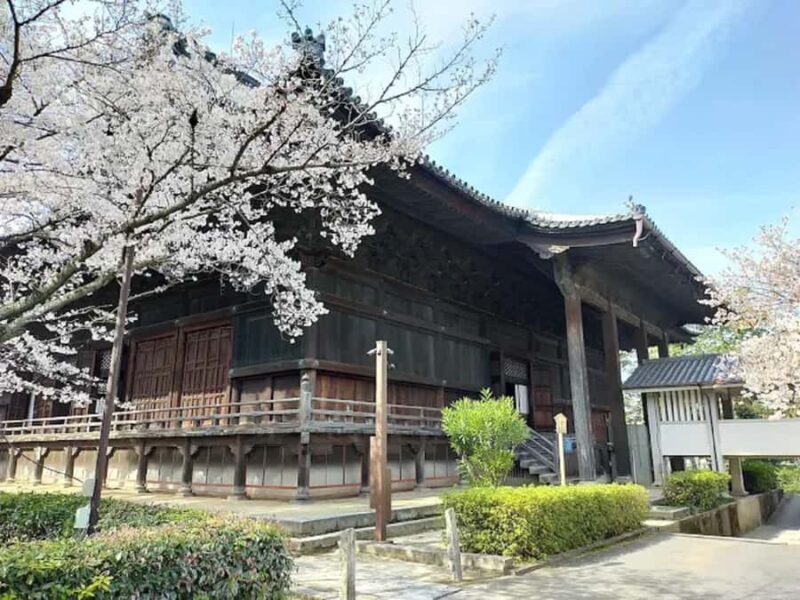 Amanohashidate: Sandbar Walk, Temple, and View Land Tour - Final Verdict