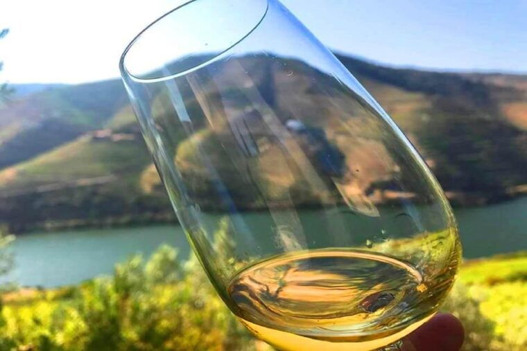 Amarante: e-Bike Tour and Vinho Verde - from Porto - A Taste of Local Flavors: Lunch and Wine Tasting