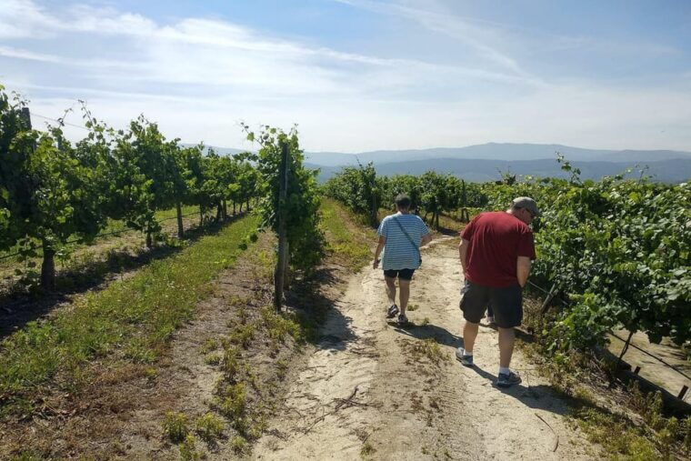 Amarante: e-Bike Tour and Vinho Verde - from Porto - Who Should Book This Tour?
