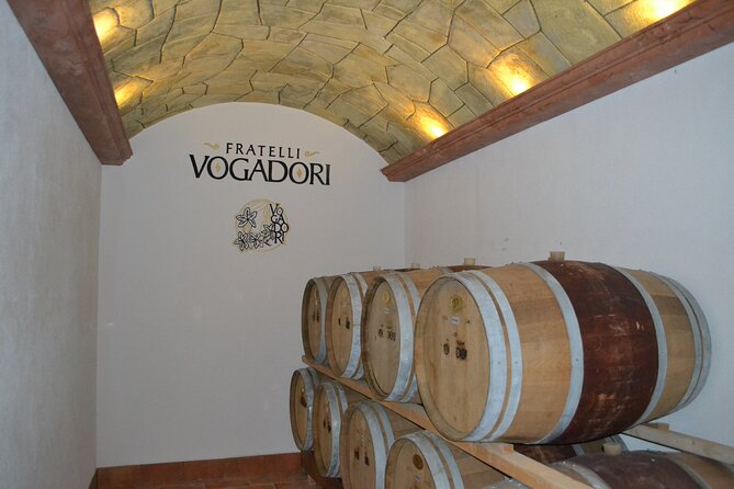 Amarone Della Valpolicella Wine Experience - Meet the Vogadori Family - The Vogadori Family: A Brief Introduction