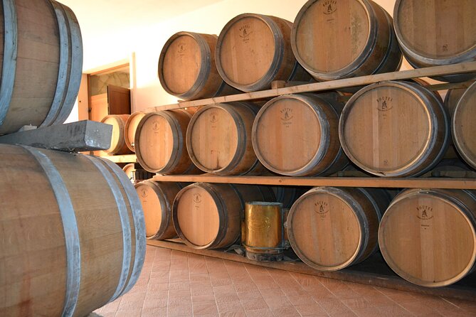 Amarone Della Valpolicella Wine Experience - Meet the Vogadori Family - The Art of Winemaking at Vogadori Winery