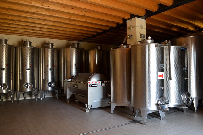 Amarone Della Valpolicella Wine Experience - Meet the Vogadori Family - Exclusive Wine Pairing Experiences at Vogadori