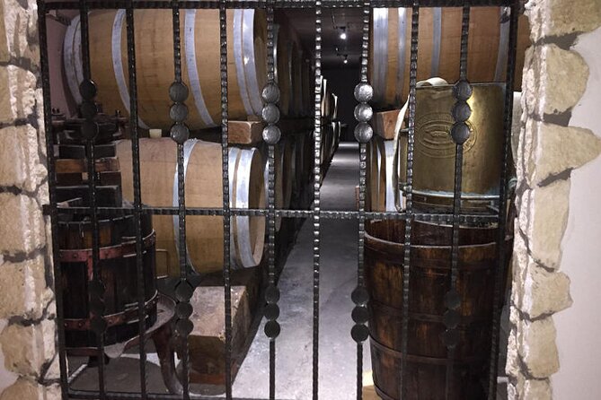 Amarone Della Valpolicella Wine Experience - Meet the Vogadori Family - Taking in the Vogadori Wine Culture