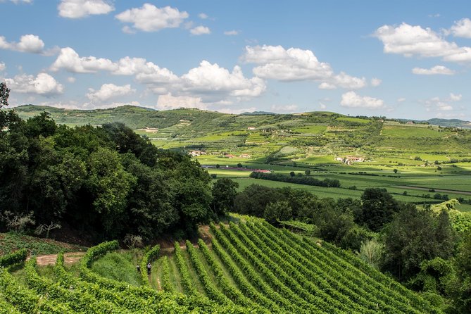 Amarone-Soave Wine Tour. Visit Verona. From Venice - Common Questions