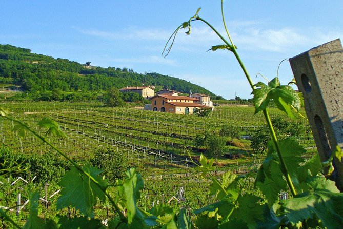 Amarone-Valpolicella Wine Tour - Visit Verona. Half Day. From Venice - Questions and Additional Information