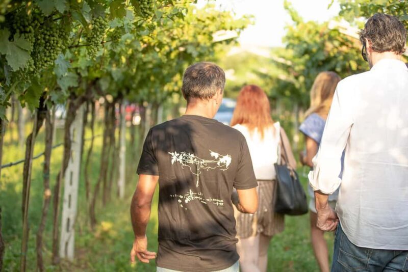 AMARONE: VERTICAL TASTING OF HISTORIC VINTAGES - Why This Experience Offers Great Value