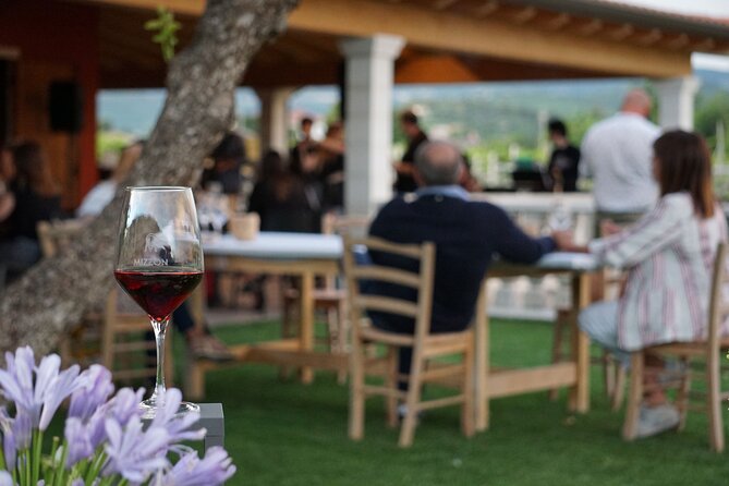 Amarone Wine Experience in Verona Countryside - Experience Highlights