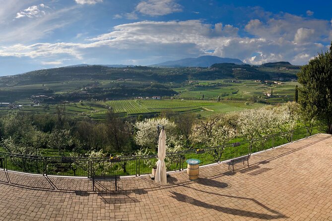 Amarone Wine Tasting From Verona - Wine Tour Details