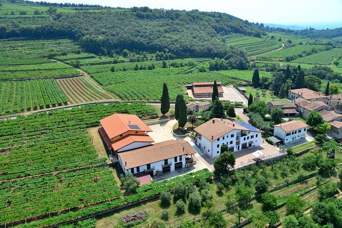 Amarone Wine Tasting From Verona - Reviews and Ratings