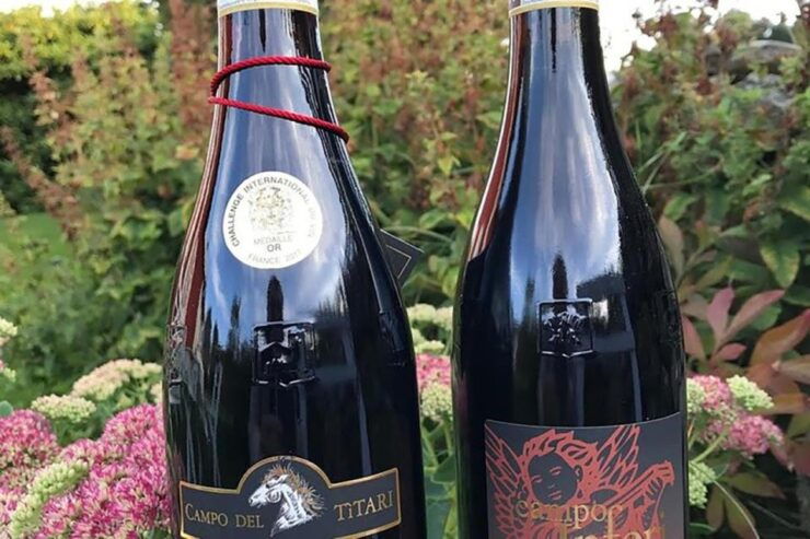 Amarone Wine Tasting Tour. Visit Verona. From Venice - Good To Know