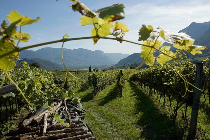 Amarone Wine Tour - Good To Know