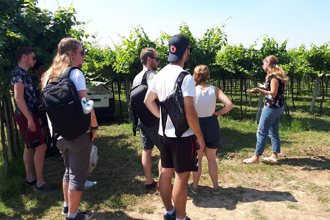 Amarone Wine Tour - Common Questions