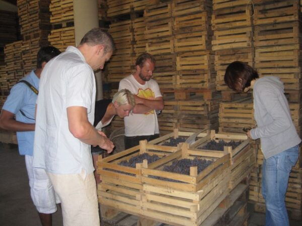 Amarone Wine Tour & Tasting From Venice, Padua or Verona - Lunch Menu and Wine Tasting