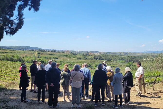 Amarone Wine Tour With 2 Wineries Lunch and Private Transfer - Pricing and Booking Details