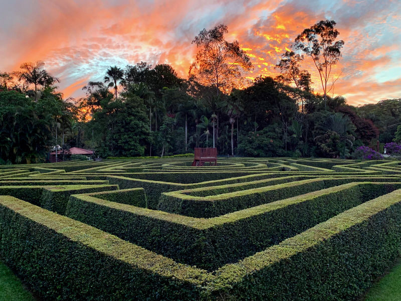 Amaze World Ticket - Sunshine Coast - The garden and cafe offer a gentler pause