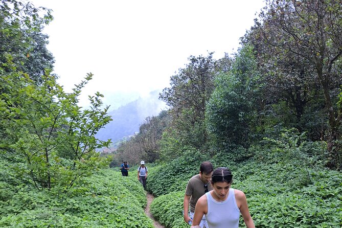 Amazing 1 Day Trekking Experience in Kathmandu Nepal - Common Questions