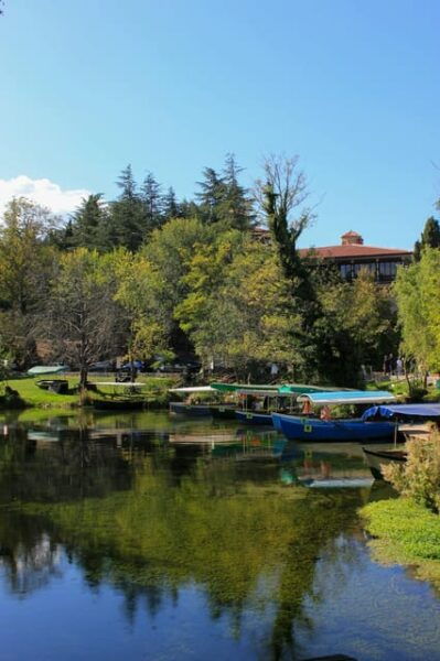 Amazing 2 Activities-Zipline and Rafting, Any Time of Theday - Included Services