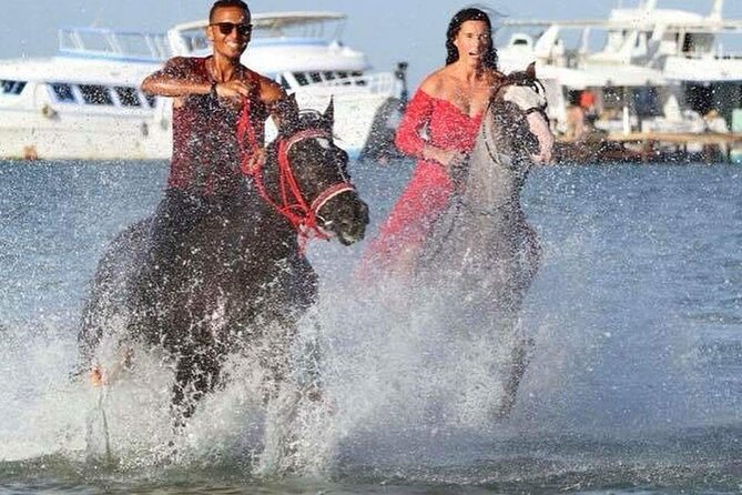 Amazing 2 Hours Horse Ride & 7 Min Parachute & 2 Hours Semi-Submarine-Hurghada - Tour Overview