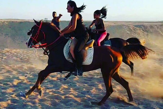 Amazing 2 Hours Horse Ride & 7 Min Parachute & 2 Hours Semi-Submarine-Hurghada - Tour Directions