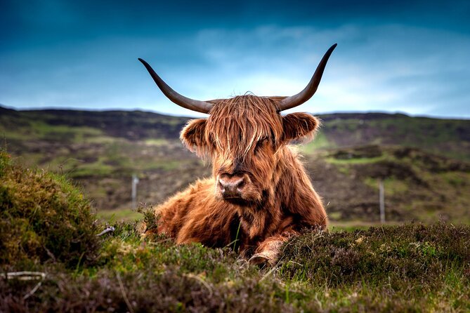 Amazing 3-Day Aberdeen Deeside Loch Ness Pitlochry Edinburgh Private Tour - The Sum Up