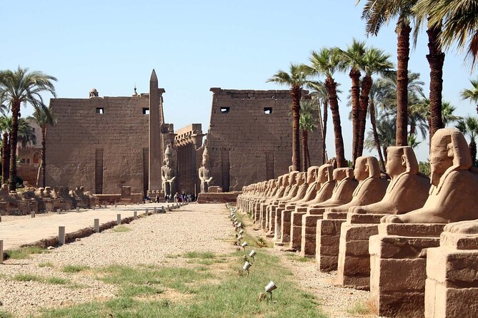 Amazing (3) Nights Nile Cruise With Abu Simbel Temples From Aswan to Luxor - Additional Accessibility Information