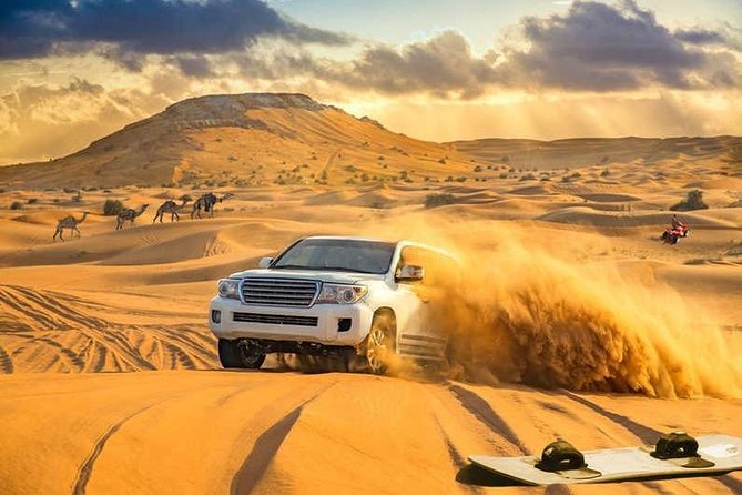 Amazing Abu Dhabi Evening Safari - Pricing and Reservation