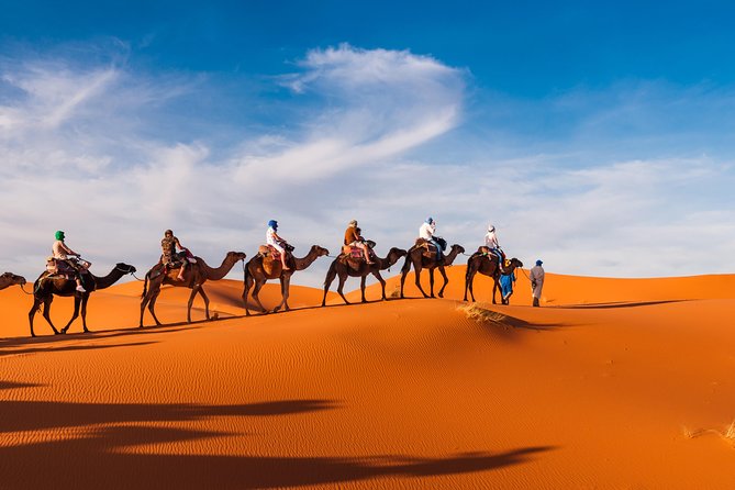 Amazing Abu Dhabi Evening Safari - Traveler Photos and Reviews