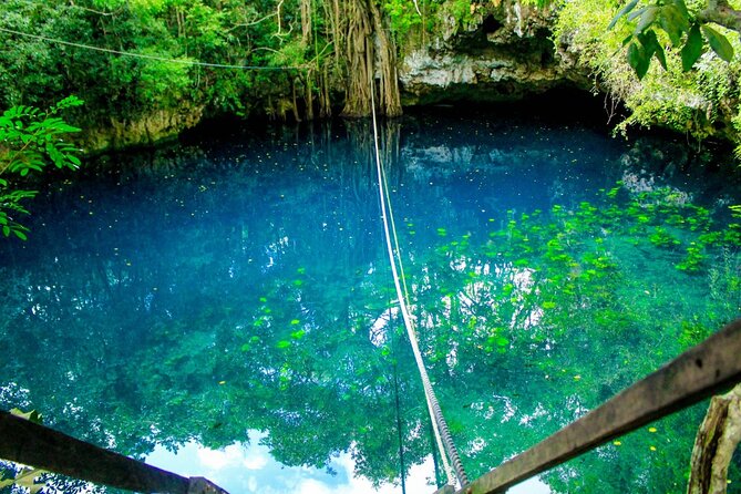 Amazing ATV Tour, Ziplines and Cenote Swim With Lunch and Round Trip Included - Reviews