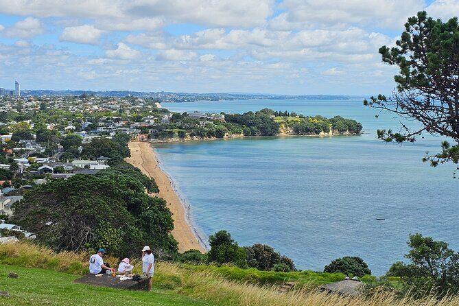 Amazing Auckland City Half Day Guided Tour - What This Tour Offers: A Detailed Breakdown