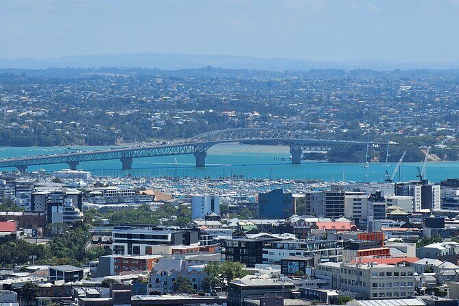 Amazing Auckland City Half Day Guided Tour - The Sum Up: Who Will Love This Tour?
