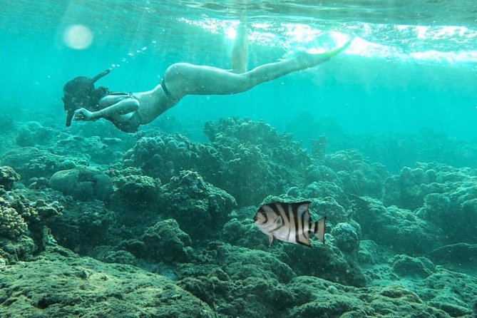 Amazing Bali Snorkeling At Blue Lagoon All Inclusive - Booking Process Steps
