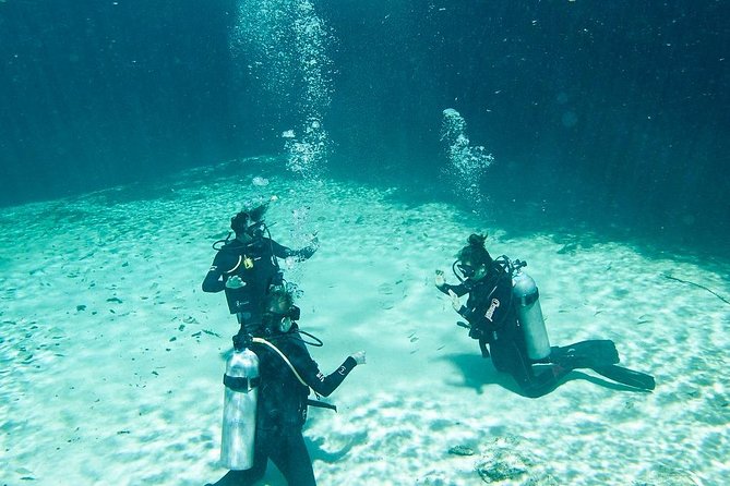 Amazing Beginner Dive in Tulum Cenote (Or Refresher Dive) - Logistics and Safety Information
