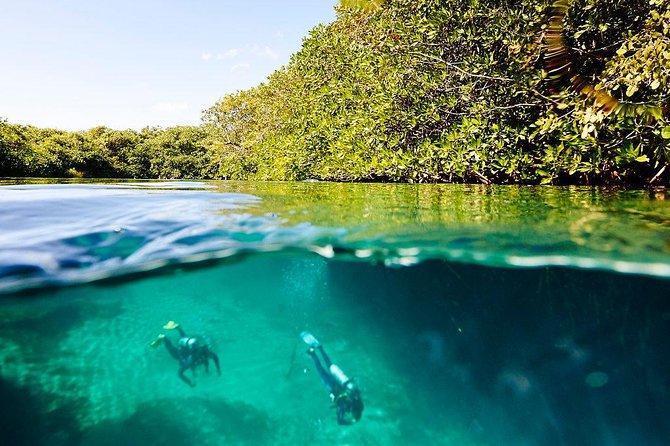 Amazing Beginner Dive in Tulum Cenote (Or Refresher Dive) - Positive Reviews and Testimonials