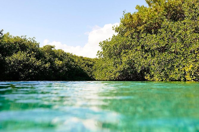 Amazing Beginner Dive in Tulum Cenote (Or Refresher Dive) - Recommendations and Final Thoughts