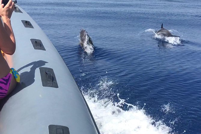 Amazing Boat Trip From Tropea to Capo Vaticano - 6 to 12 People - Recommendations