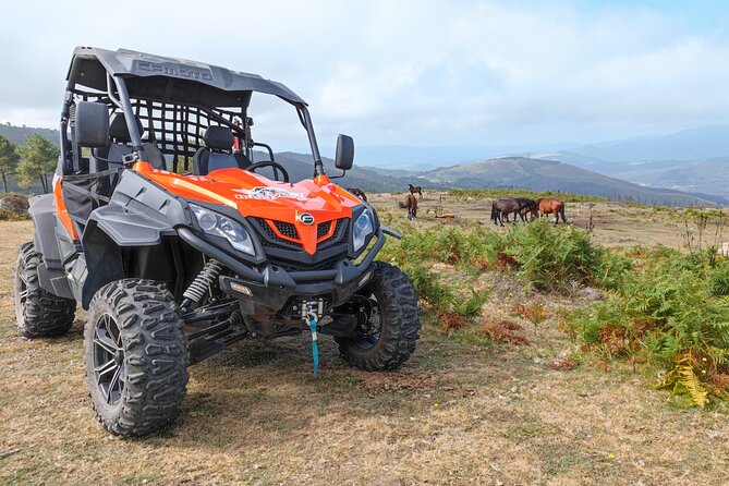 Amazing Buggy Ride in Corno Do Bico - Good To Know
