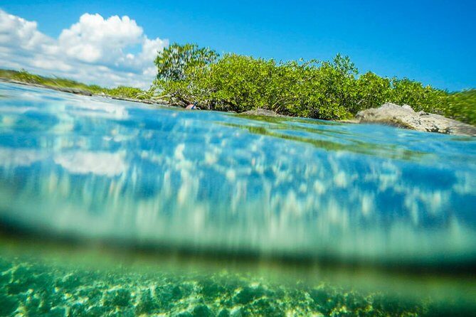 Amazing Cenote Yalku, swim in sacred waters. Transport & Guide - Practical Details and Tips