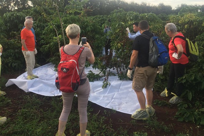 Amazing Coffee Full-Day Tour in Buon Ma Thuot - Daklak - Exploring Local Coffee Culture