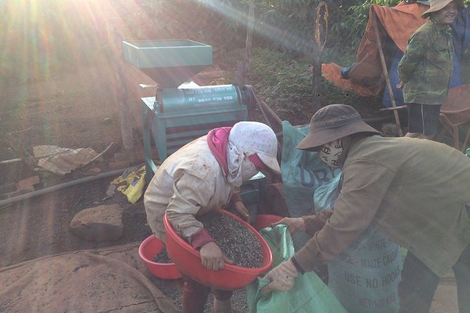 Amazing Coffee Full-Day Tour in Buon Ma Thuot - Daklak - Scenic Views and Photo Opportunities