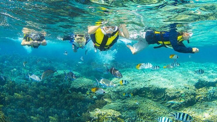 AMAZING DAY ( FUN ISLAND) - Duration and Availability